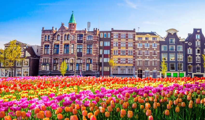 VIAJE CIRCULO IMPERIAL (AMSTERDAM - VIENA) DESDE LEÓN